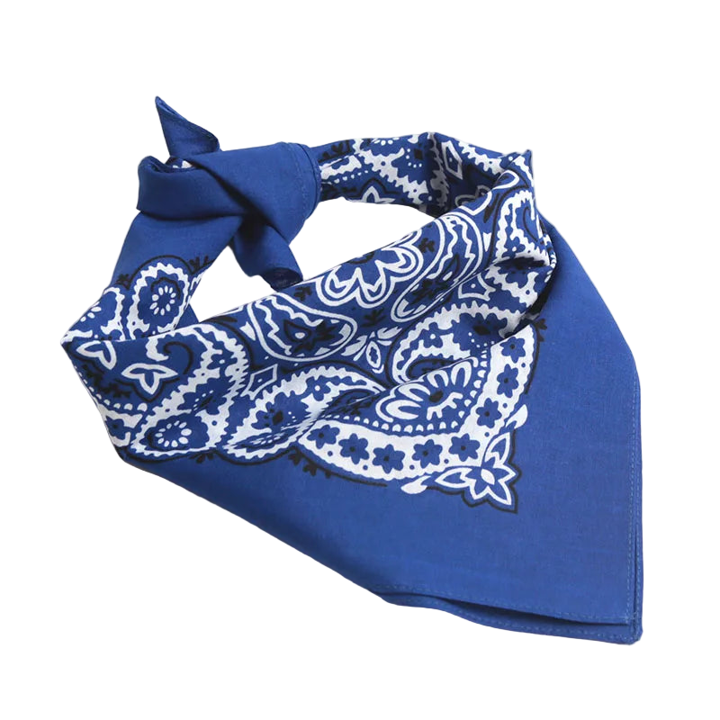 Blue bandana with white paisley pattern on a white background