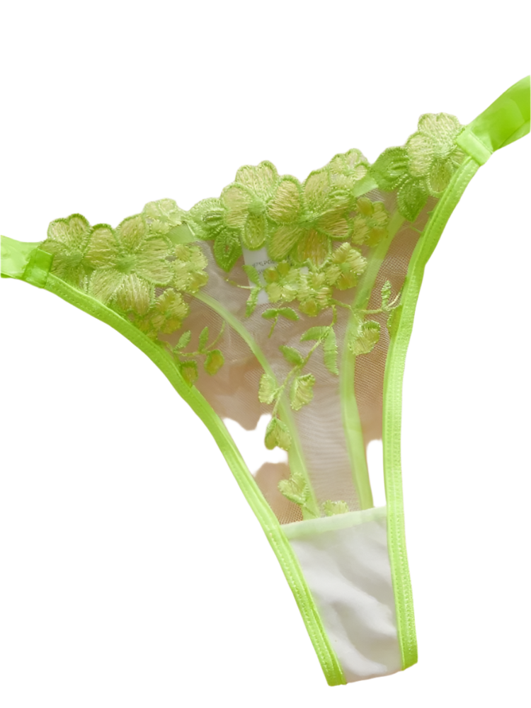 Green lace lingerie on a sheer fabric background