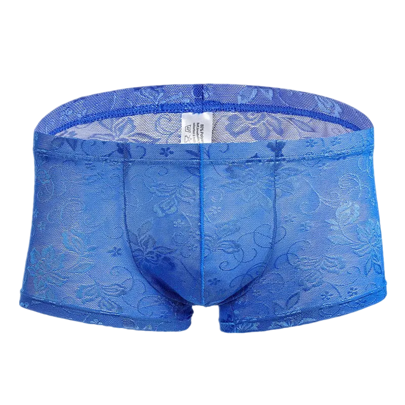 Blue lace underwear on a white background