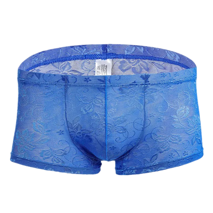 Blue lace underwear on a white background