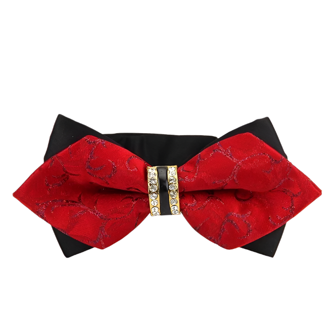 Red and black bow tie with a decorative clasp on a white background
