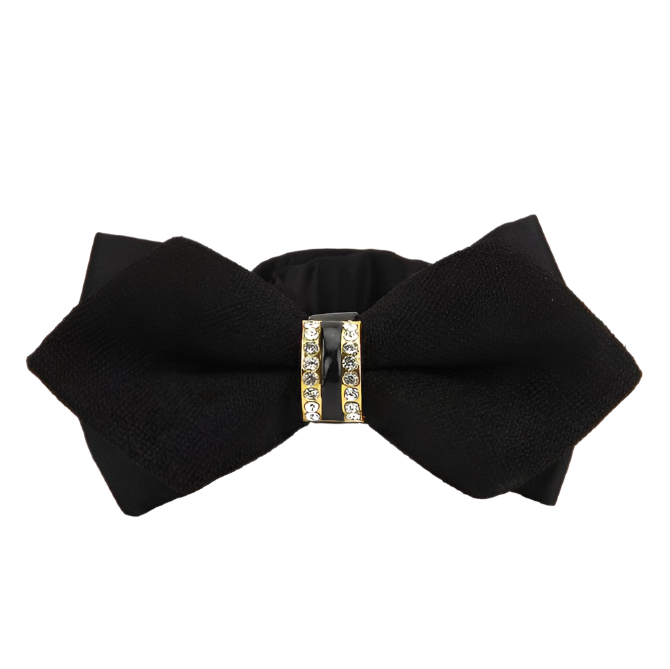 Black bow tie with a decorative clasp on a white background