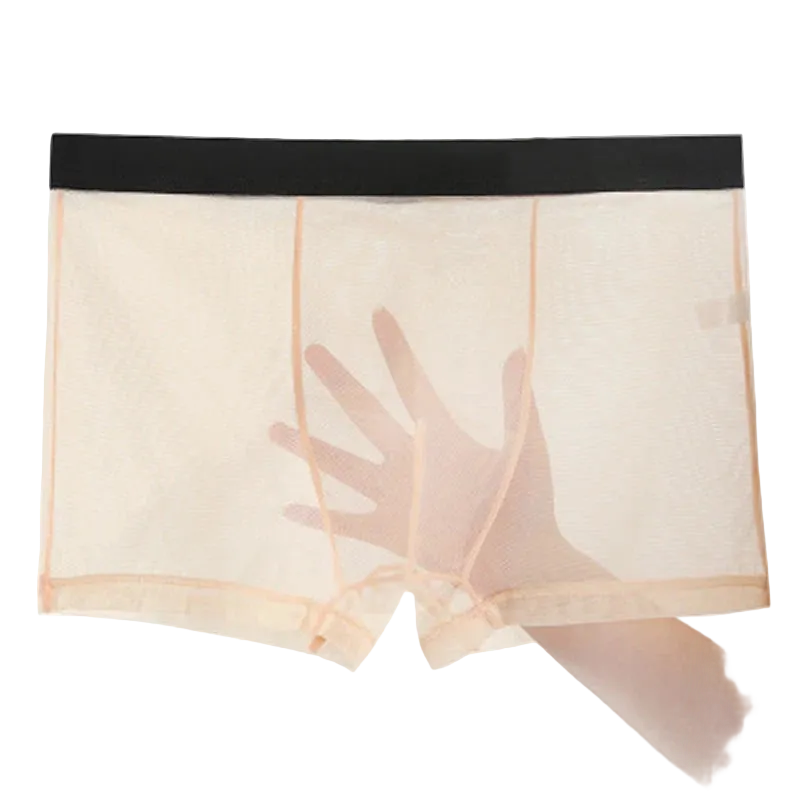 Sheer beige boxer briefs with a black waistband on a white background