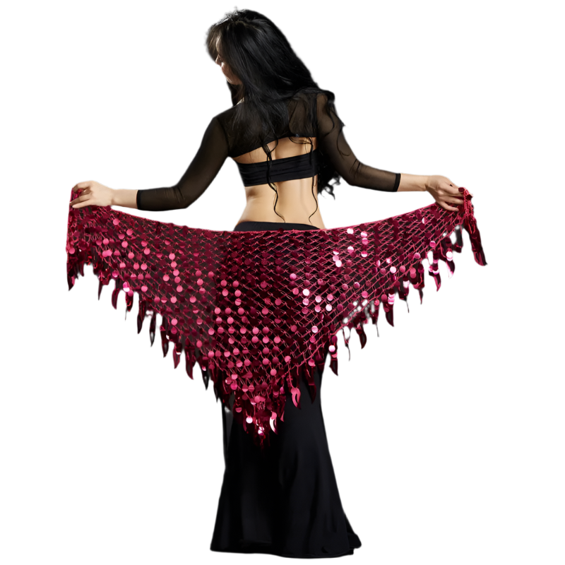 Belly Dance Sequins Hip Scarf | Sparkling Women's Dancewear