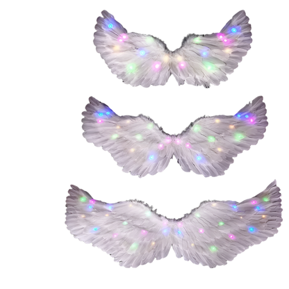 LED Angel Wings: White feathered wings adorned with LED lights in various colors, creating a magical and ethereal appearance.

