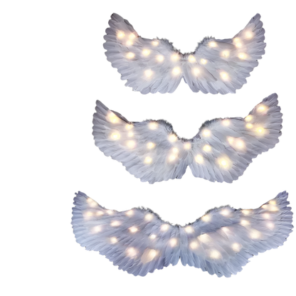 LED Angel Wings: White feathered wings adorned with LED lights in various colors, creating a magical and ethereal appearance.

