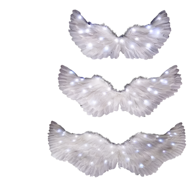 LED Angel Wings: White feathered wings adorned with LED lights in various colors, creating a magical and ethereal appearance.

