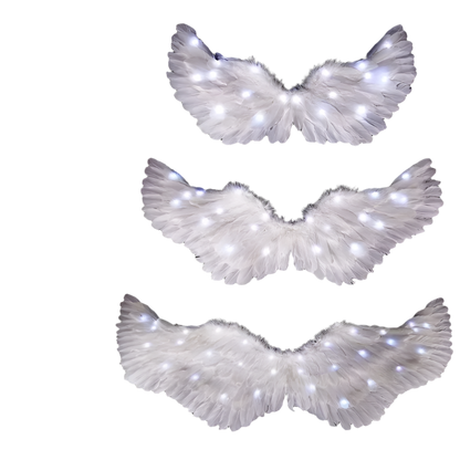 LED Angel Wings: White feathered wings adorned with LED lights in various colors, creating a magical and ethereal appearance.

