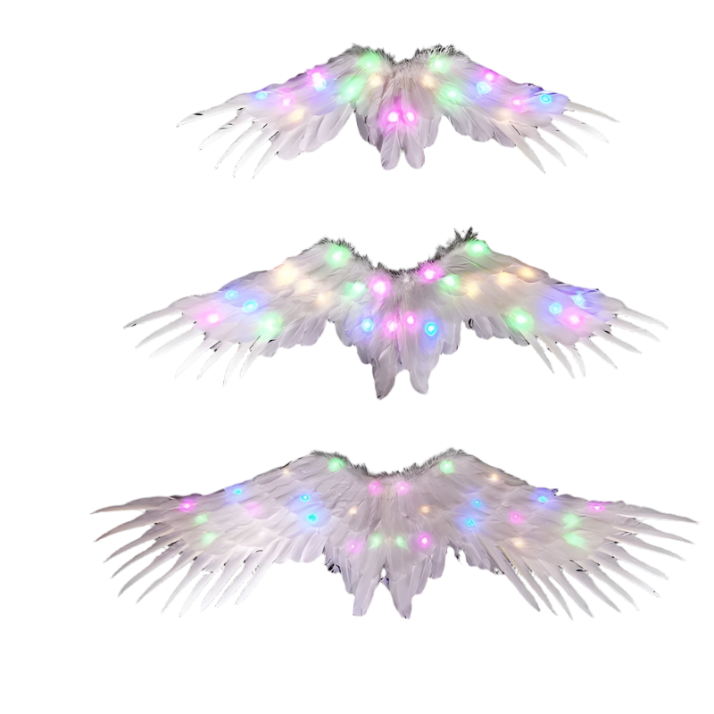 LED Angel Wings: White feathered wings adorned with LED lights in various colors, creating a magical and ethereal appearance.

