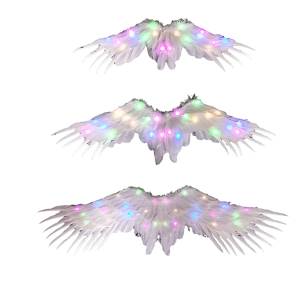 LED Angel Wings: White feathered wings adorned with LED lights in various colors, creating a magical and ethereal appearance.

