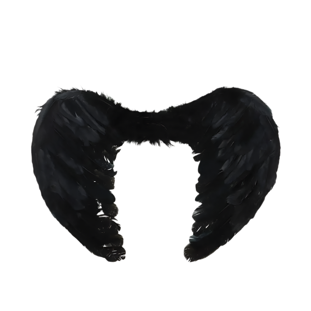 Black feathered wings with measurements on a white background