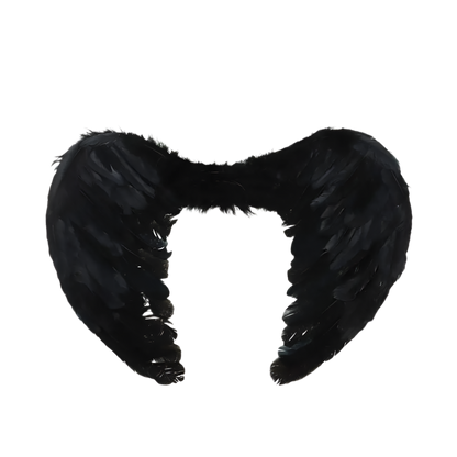 Black feathered wings with measurements on a white background