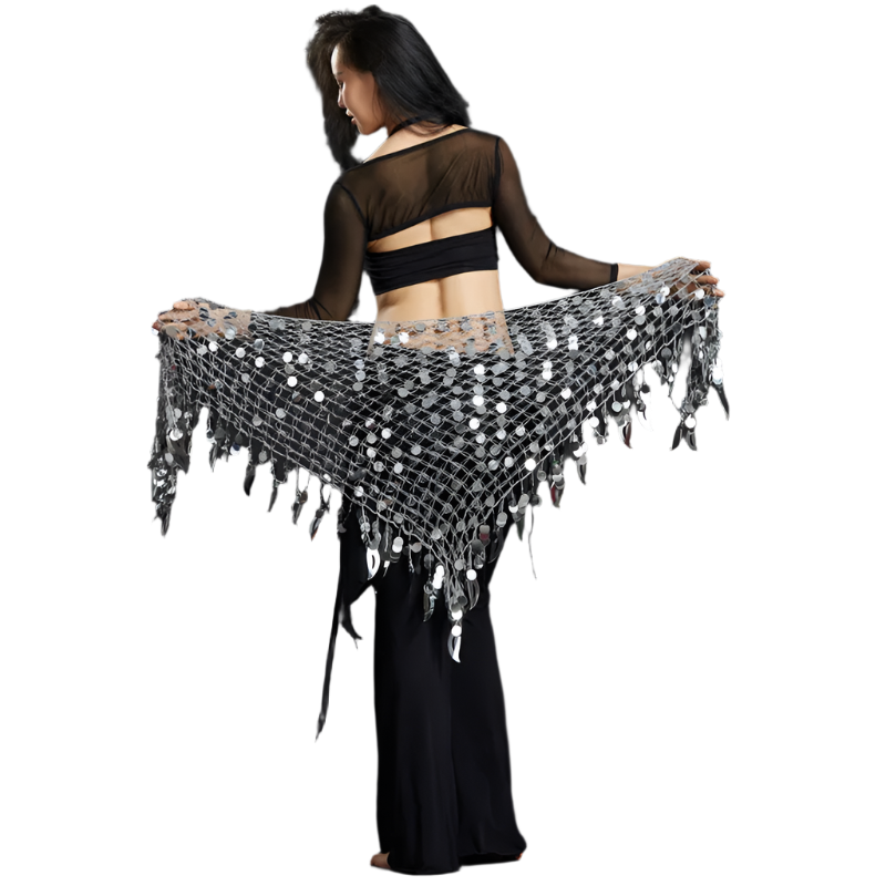 Belly Dance Sequins Hip Scarf | Sparkling Women's Dancewear