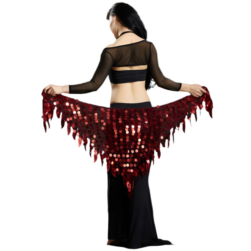 Belly Dance Sequins Hip Scarf | Sparkling Women's Dancewear