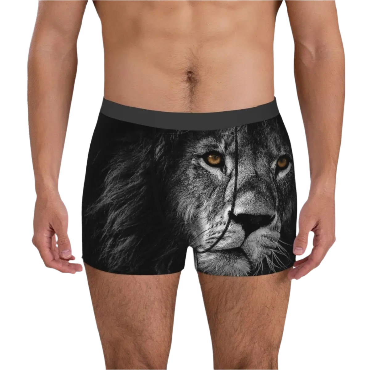 Lion Face Animal Boxer Briefs