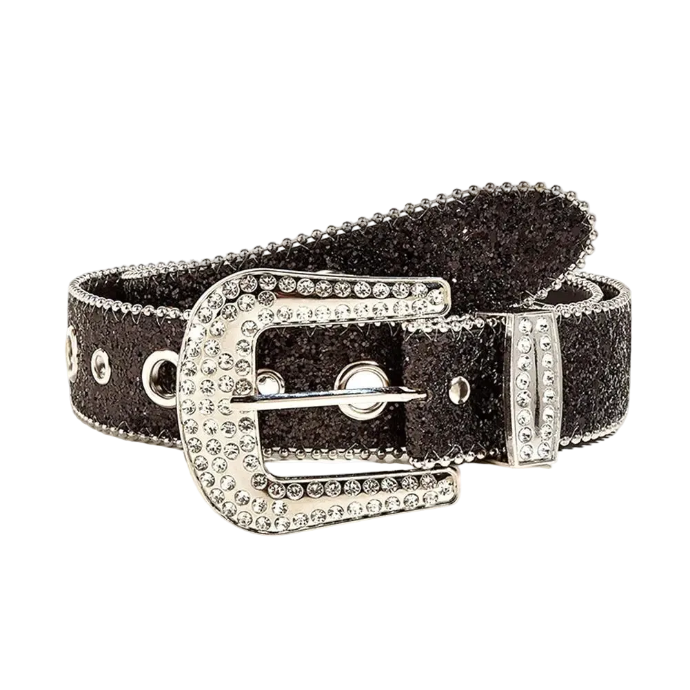 Black belt with silver buckle on a white background