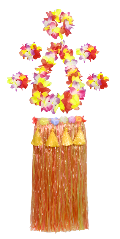 colorful hula outfits. Each ensemble includes a vibrant floral top, matching lei, and a grass skirt in pink, yellow, red, and blue, with floral headpieces and bracelets.