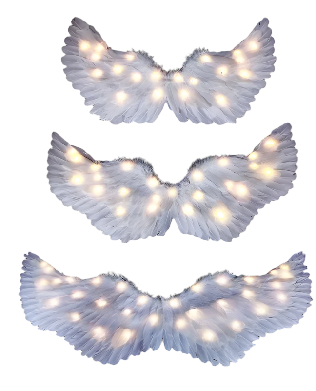 LED Angel Wings: White feathered wings adorned with LED lights in various colors, creating a magical and ethereal appearance.

