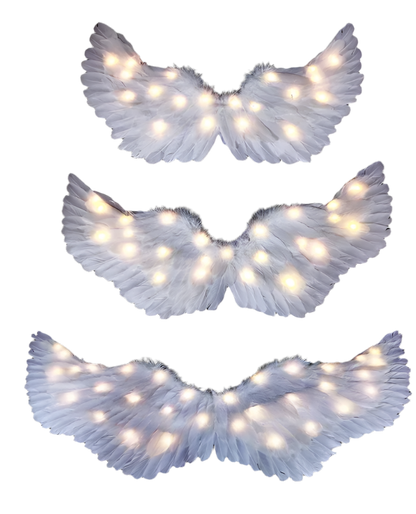 LED Angel Wings: White feathered wings adorned with LED lights in various colors, creating a magical and ethereal appearance.

