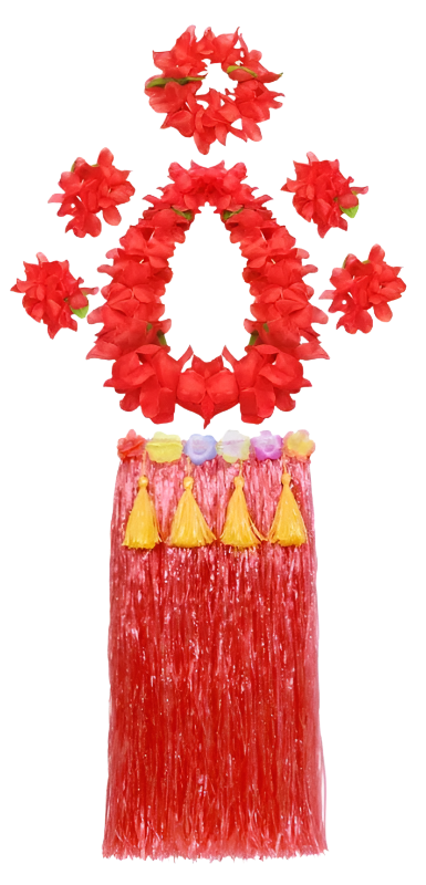 colorful hula outfits. Each ensemble includes a vibrant floral top, matching lei, and a grass skirt in pink, yellow, red, and blue, with floral headpieces and bracelets.