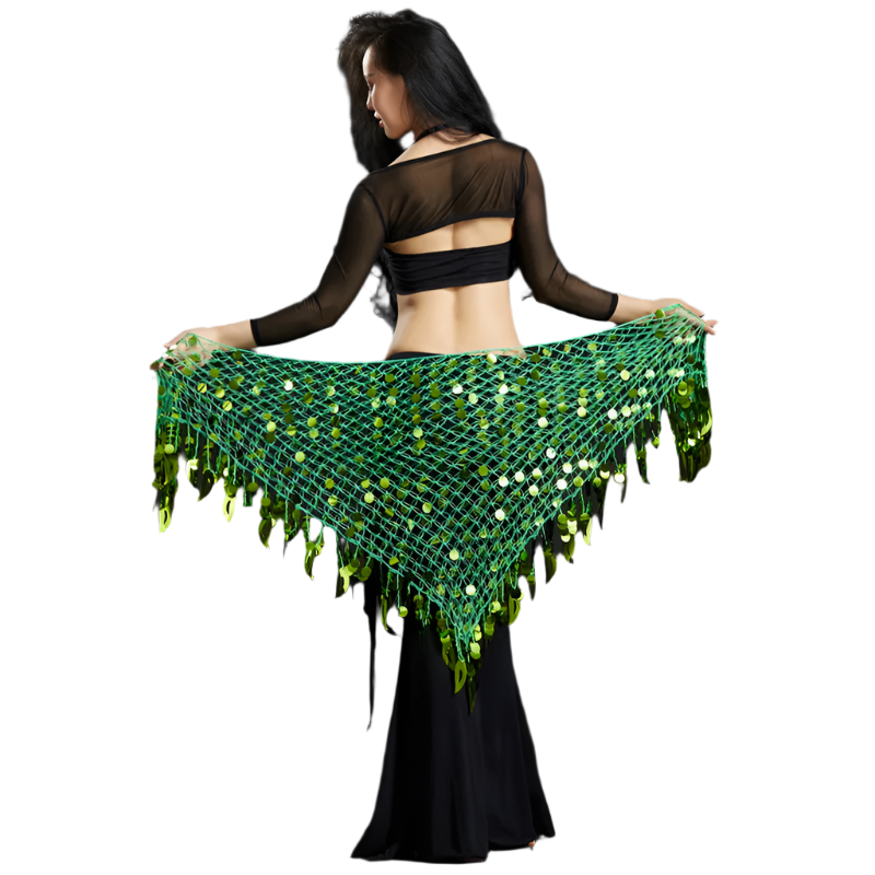 Belly Dance Sequins Hip Scarf | Sparkling Women's Dancewear