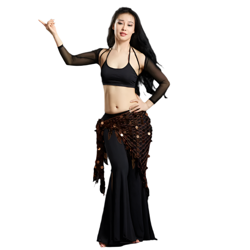 Belly Dance Sequins Hip Scarf | Sparkling Women's Dancewear