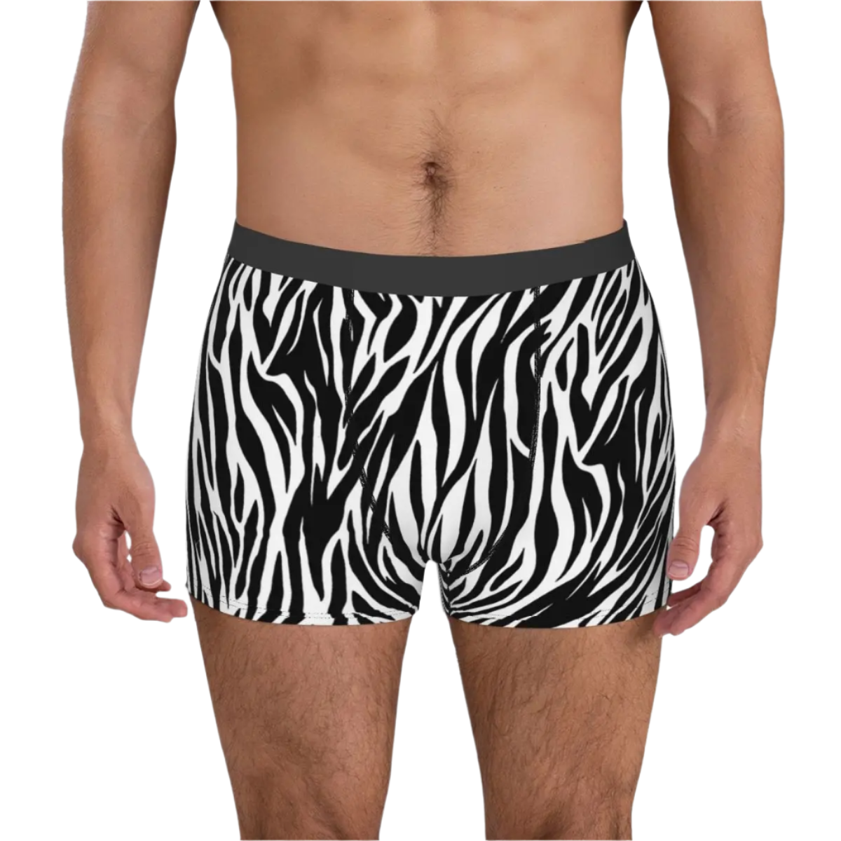 Zebra Animal  Boxer Briefs