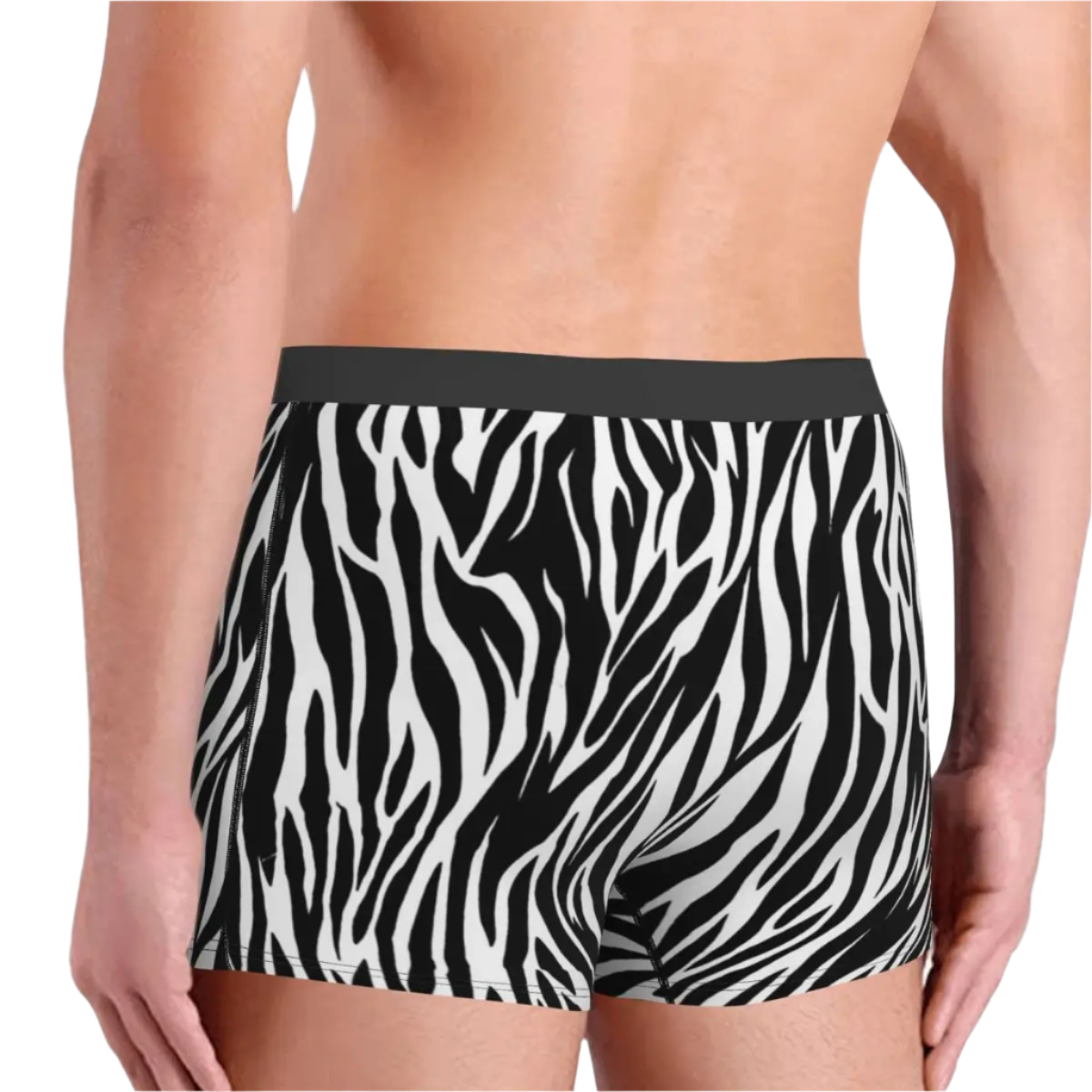 Zebra Animal  Boxer Briefs