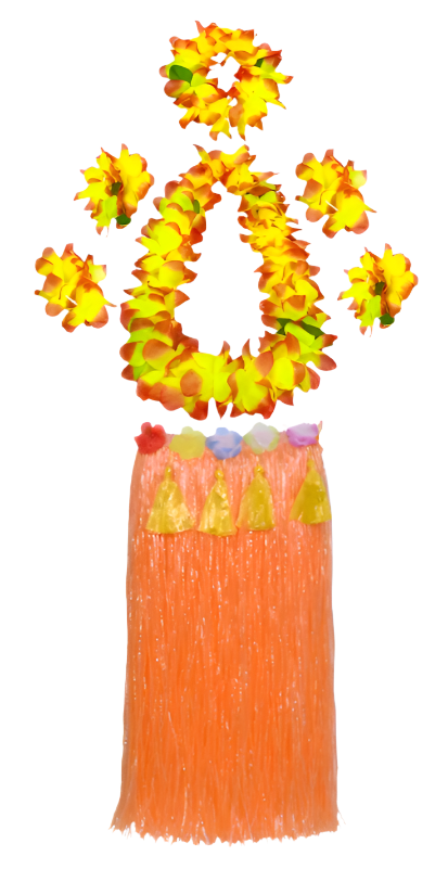 colorful hula outfits. Each ensemble includes a vibrant floral top, matching lei, and a grass skirt in pink, yellow, red, and blue, with floral headpieces and bracelets.