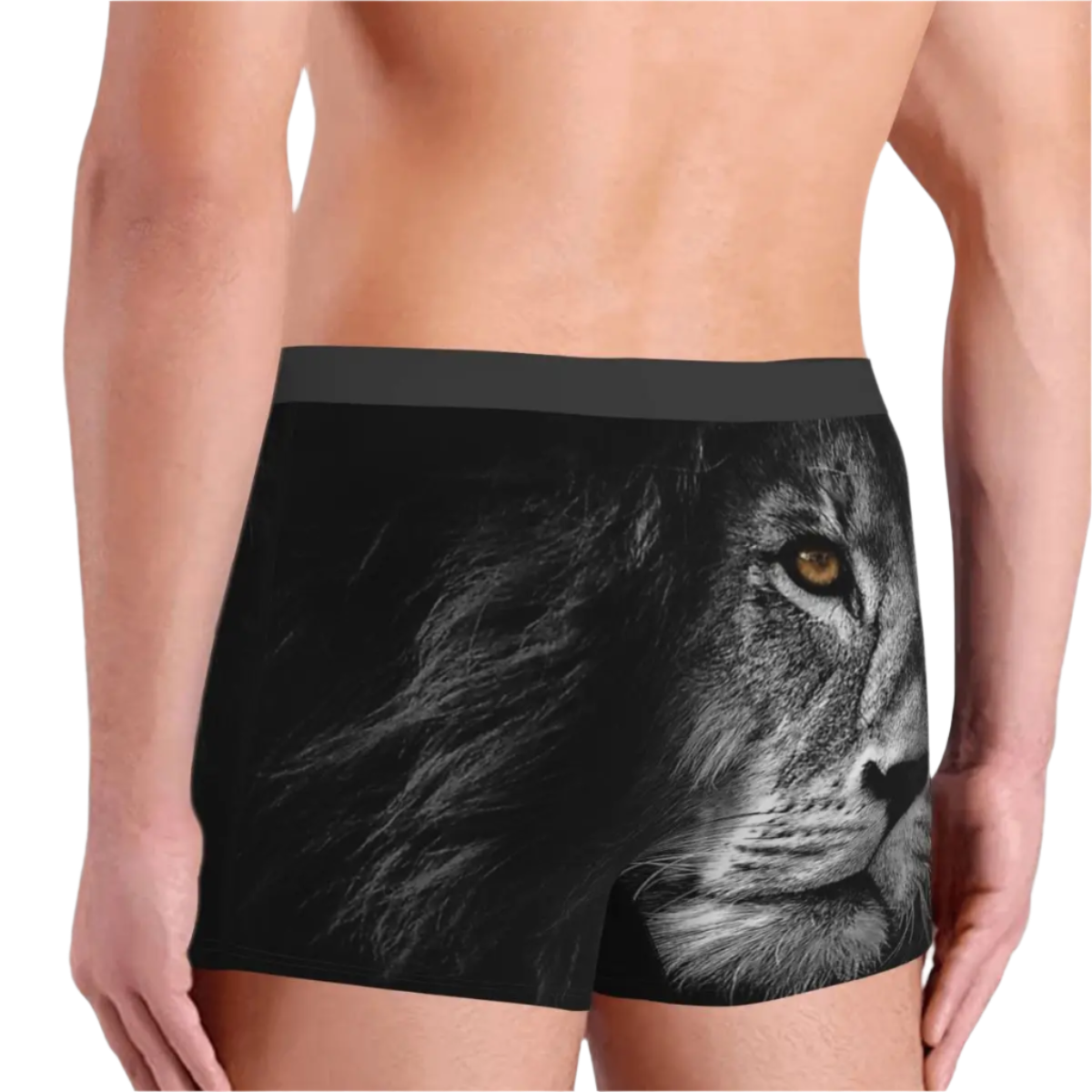 Lion Face Animal Boxer Briefs