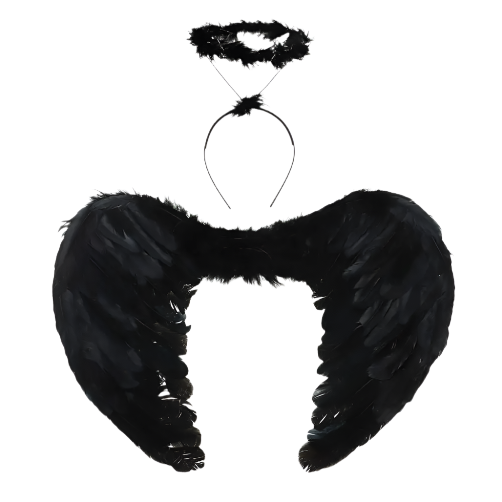 Black feathered angel wings and halo on a white background