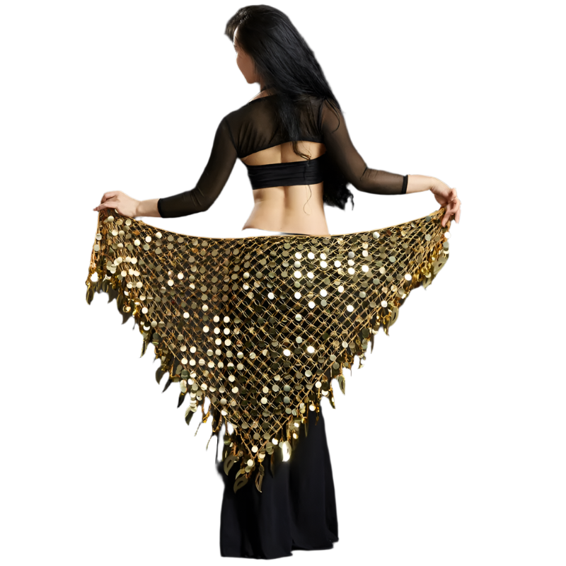 Belly Dance Sequins Hip Scarf | Sparkling Women's Dancewear