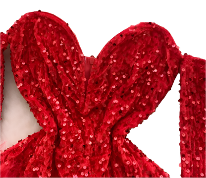 A red sequined bodysuit with long sleeves and feather trim. The design is glamorous and bold, perfect for a standout performance or event.
