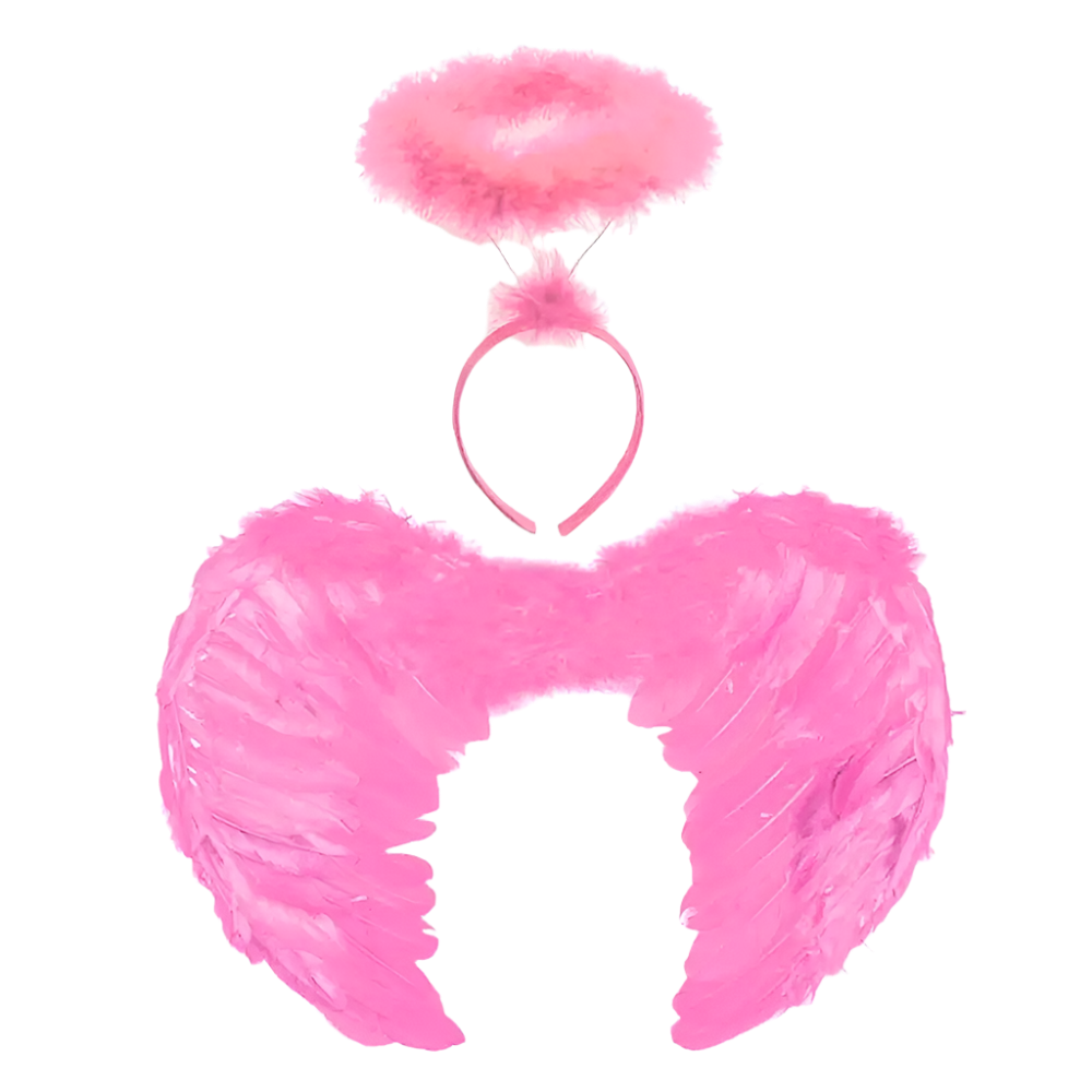 Pink angel wings and halo set on a white background