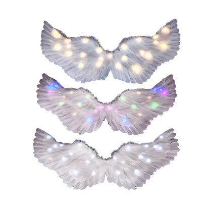 LED Angel Wings: White feathered wings adorned with LED lights in various colors, creating a magical and ethereal appearance.

